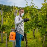 Ručna prskalica Hortus 5 Villager Tehnoalat Valjevo 6